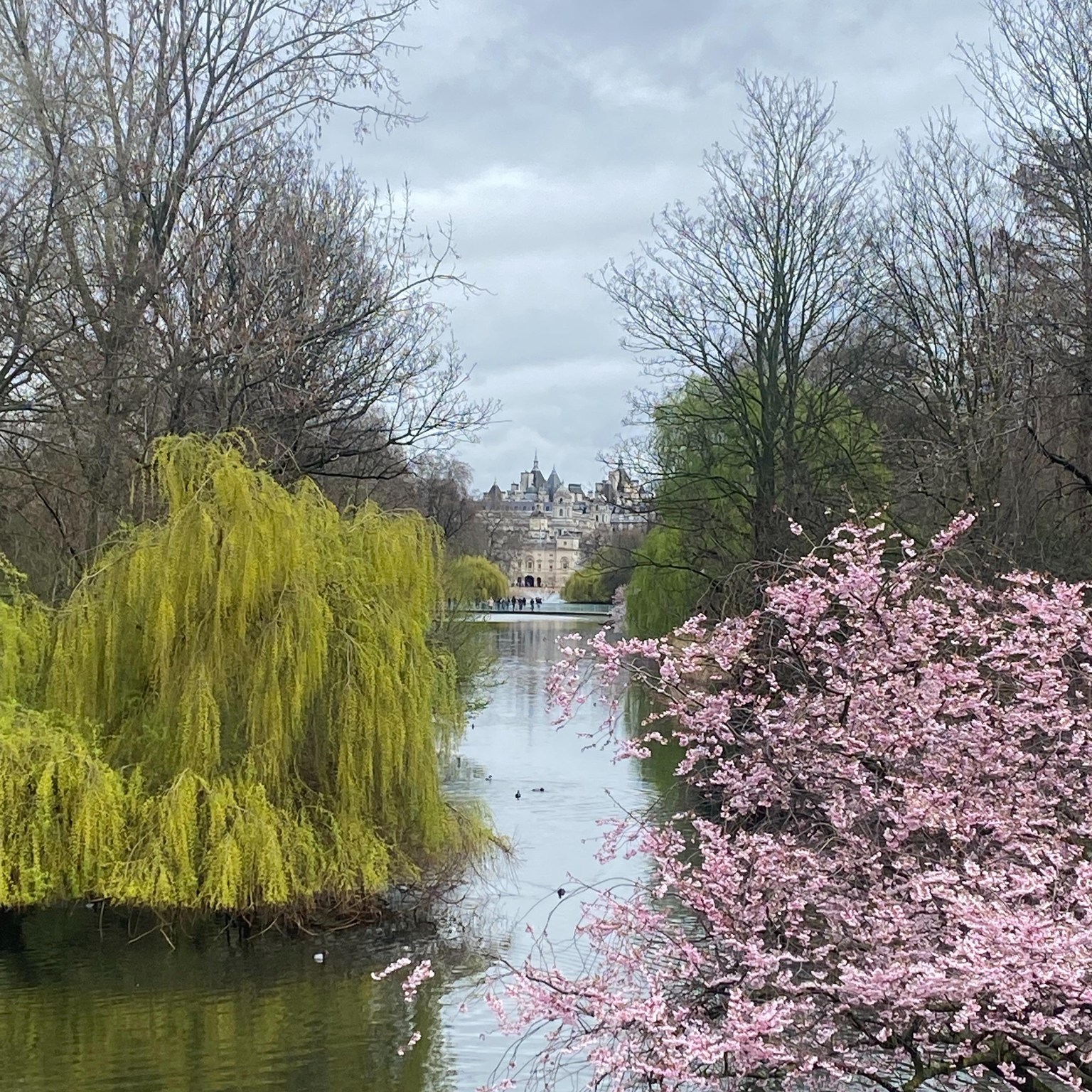 View from bridge in St James Park, London.
