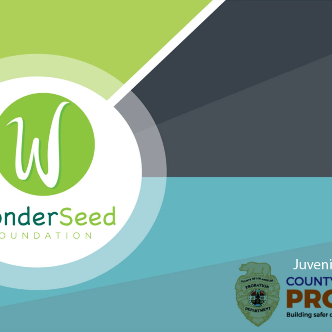WonderSeed PowerPoint presentation intro screen