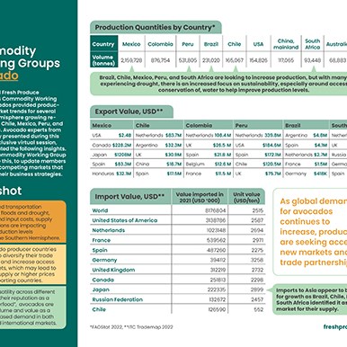 IFP Association Infographic